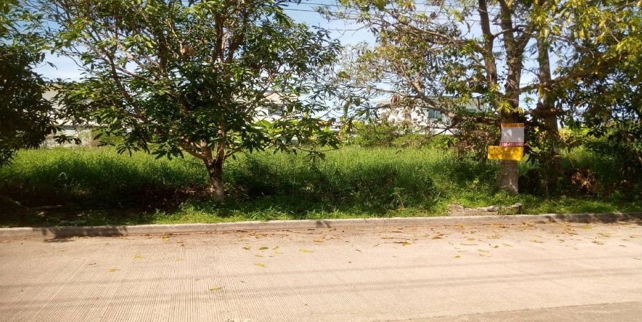 ขายทอดตลาด ที่ดินว่างเปล่า แขวงลำผักชี เขตหนองจอก จ.กรุงเทพมหานคร