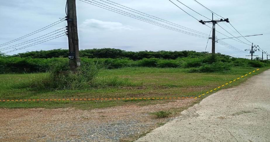 ขายทอดตลาด ที่ดินว่างเปล่า ต.ขนาบนาก อ.ปากพนัง จ.นครศรีธรรมราช