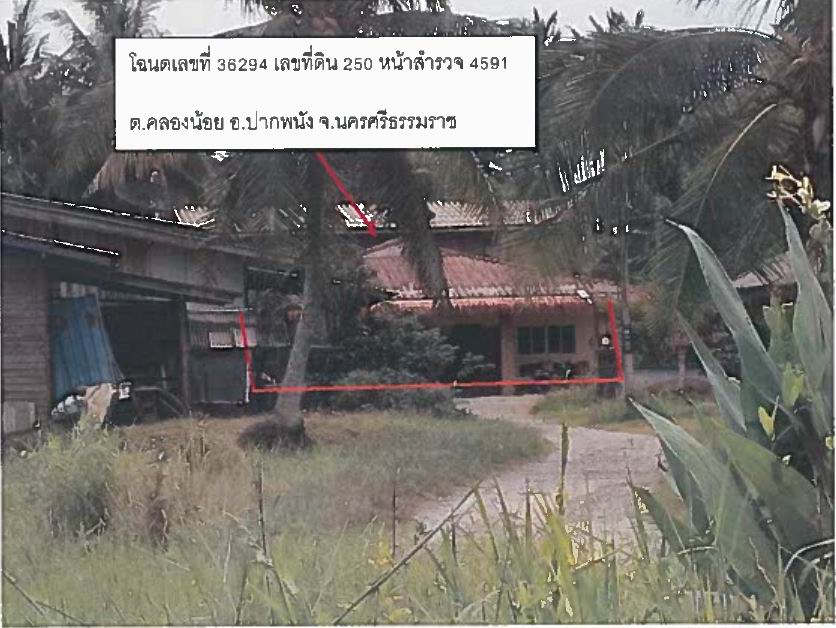 ขายทอดตลาด ที่ดินพร้อมสิ่งปลูกสร้าง ต.คลองน้อย อ.ปากพนัง จ.นครศรีธรรมราช