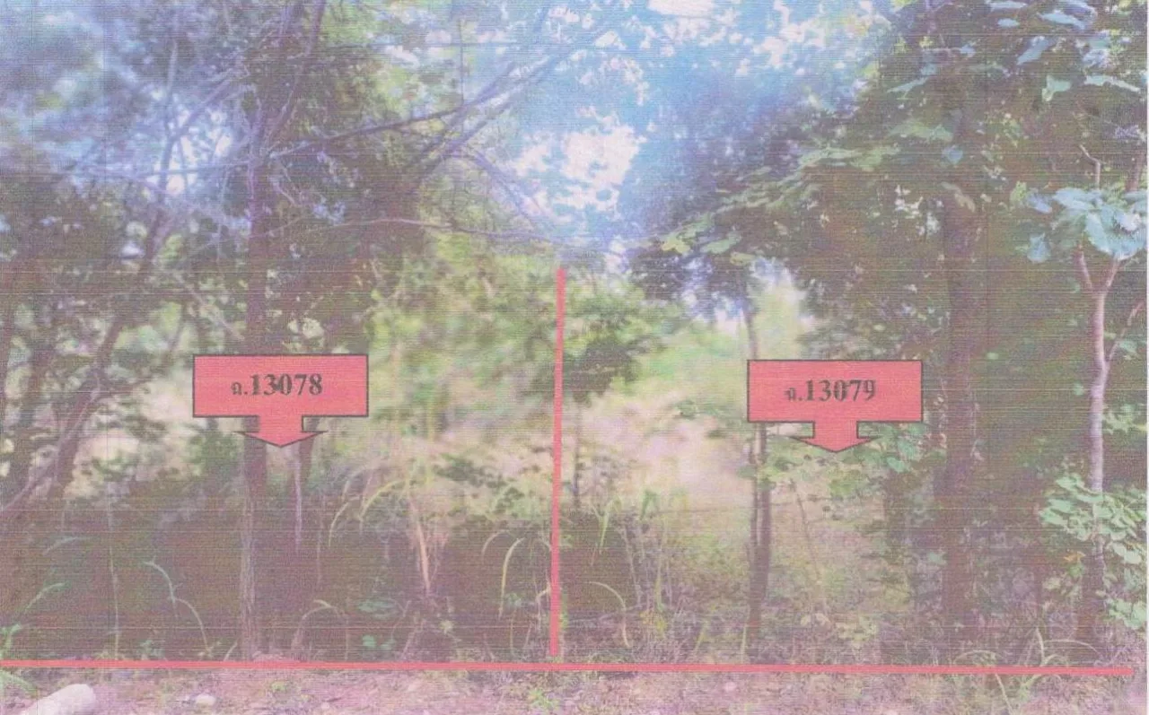 ขายทอดตลาด ที่ดินว่างเปล่า ต.โพนทอง อ.เมืองชัยภูมิ จ.ชัยภูมิ