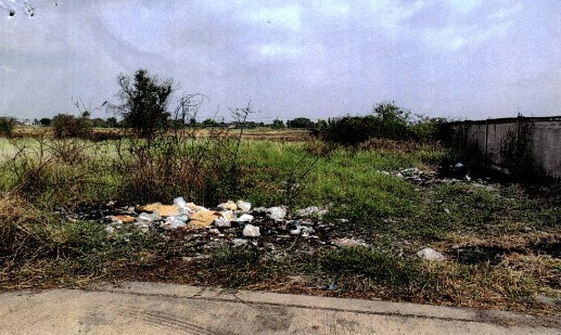 ขายทอดตลาด ที่ดินว่างเปล่า แขวงคลองสิบสอง เขตหนองจอก จ.กรุงเทพมหานคร