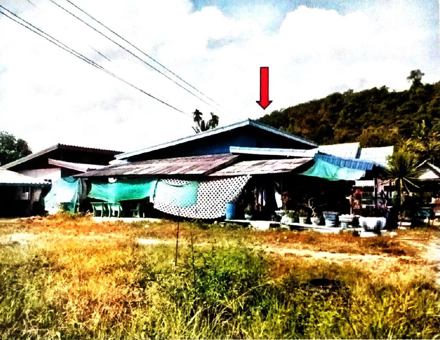 ขายทอดตลาด ที่ดินพร้อมสิ่งปลูกสร้าง ต.เขาพังไกร อ.หัวไทร จ.นครศรีธรรมราช
