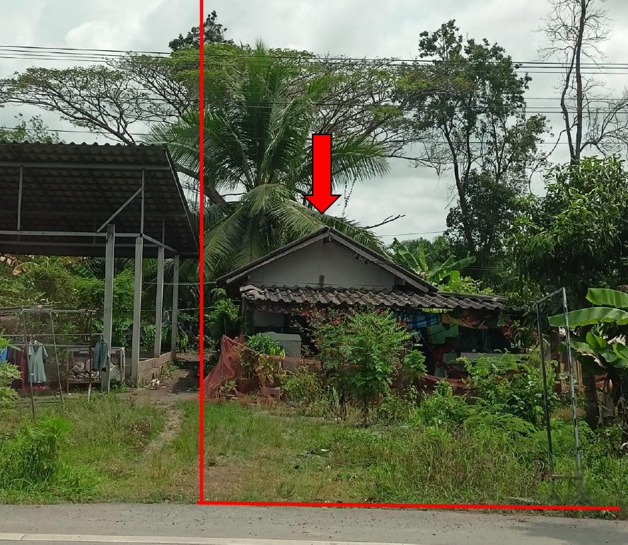 ขายทอดตลาด ที่ดินพร้อมสิ่งปลูกสร้าง ต.แหลม อ.หัวไทร จ.นครศรีธรรมราช
