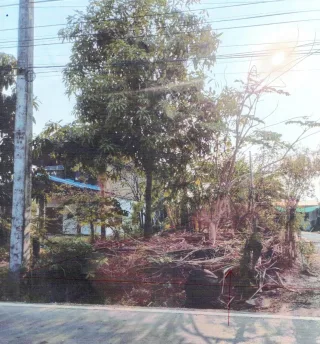 รูปทรัพย์ 2