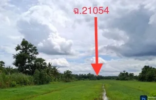 รูปทรัพย์ 2