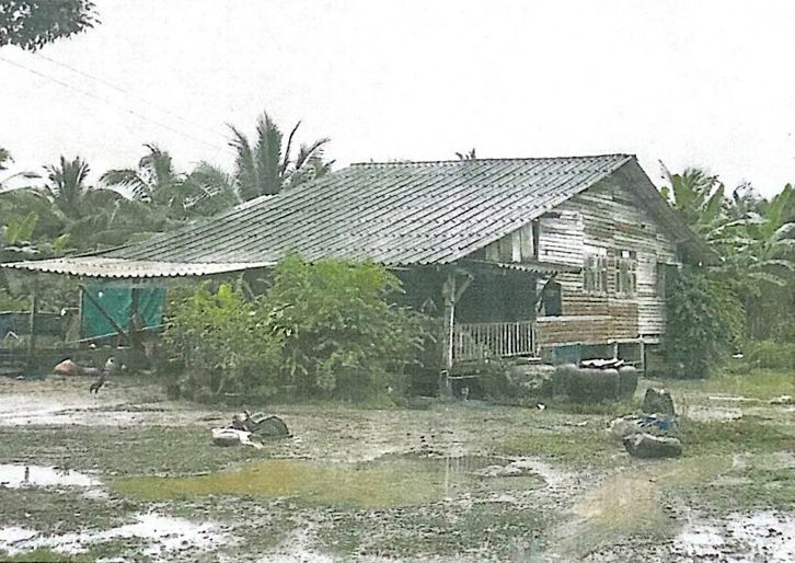 ขายทอดตลาด ที่ดินพร้อมสิ่งปลูกสร้าง ต.หัวไทร อ.หัวไทร จ.นครศรีธรรมราช