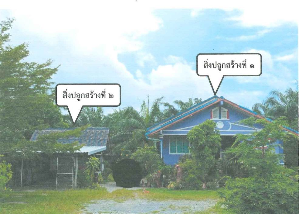 ขายทอดตลาด ที่ดินพร้อมสิ่งปลูกสร้าง ต.ดอนตรอ อ.เฉลิมพระเกียรติ จ.นครศรีธรรมราช