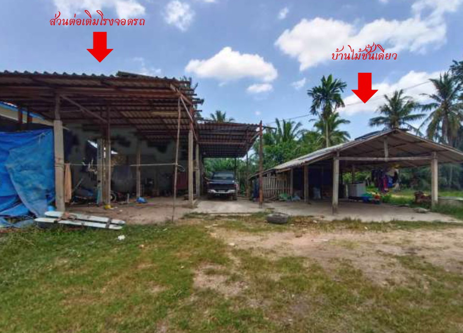 ขายทอดตลาด ที่ดินพร้อมสิ่งปลูกสร้าง ต.ควนชะลิก อ.หัวไทร จ.นครศรีธรรมราช