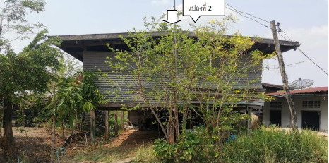 ขายทอดตลาด ที่ดินพร้อมสิ่งปลูกสร้าง ต.หนองบัวแดง อ.หนองบัวแดง จ.ชัยภูมิ
