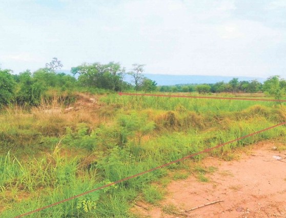 ขายทอดตลาด ที่ดินว่างเปล่า ต.บ้านเดื่อ อ.เกษตรสมบูรณ์ จ.ชัยภูมิ