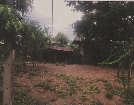 ขายทอดตลาด ที่ดินพร้อมสิ่งปลูกสร้าง ต.หลุบคา อ.แก้งคร้อ จ.ชัยภูมิ