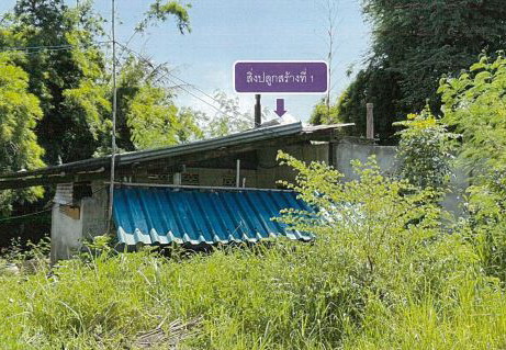ขายทอดตลาด ที่ดินพร้อมสิ่งปลูกสร้าง ต.บ้านเดื่อ อ.เกษตรสมบูรณ์ จ.ชัยภูมิ