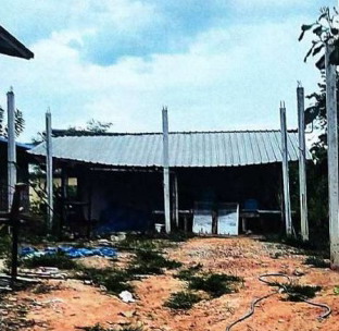 ขายทอดตลาด ที่ดินพร้อมสิ่งปลูกสร้าง ต.หนองโพนงาม อ.เกษตรสมบูรณ์ จ.ชัยภูมิ