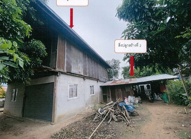 ขายทอดตลาด ที่ดินพร้อมสิ่งปลูกสร้าง ต.บ้านเพชร อ.ภูเขียว จ.ชัยภูมิ