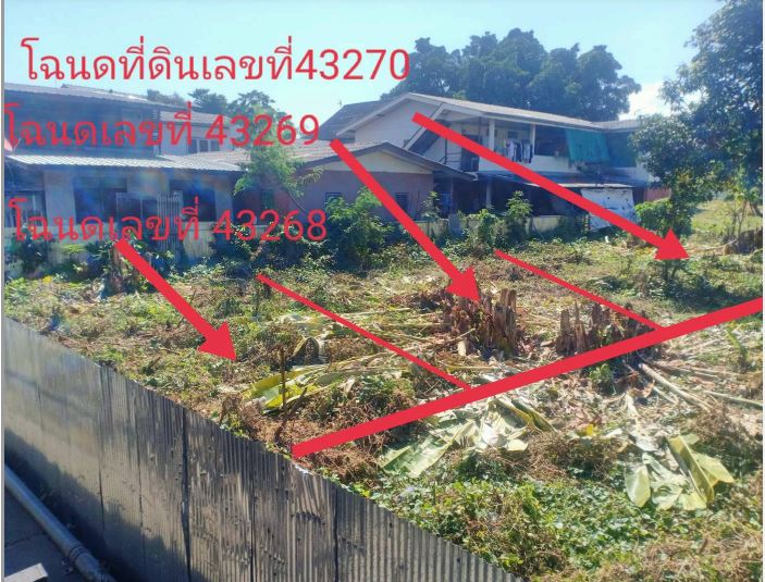 ขายทอดตลาด ที่ดินว่างเปล่า แขวงบางยี่ขัน(บางพลู) เขตบางกอกน้อย จ.กรุงเทพมหานคร