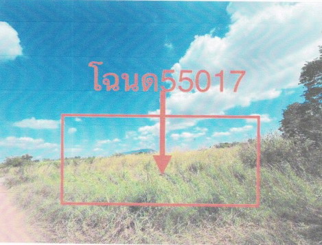 ขายทอดตลาด ที่ดินว่างเปล่า ต.ผักปัง อ.ภูเขียว จ.ชัยภูมิ