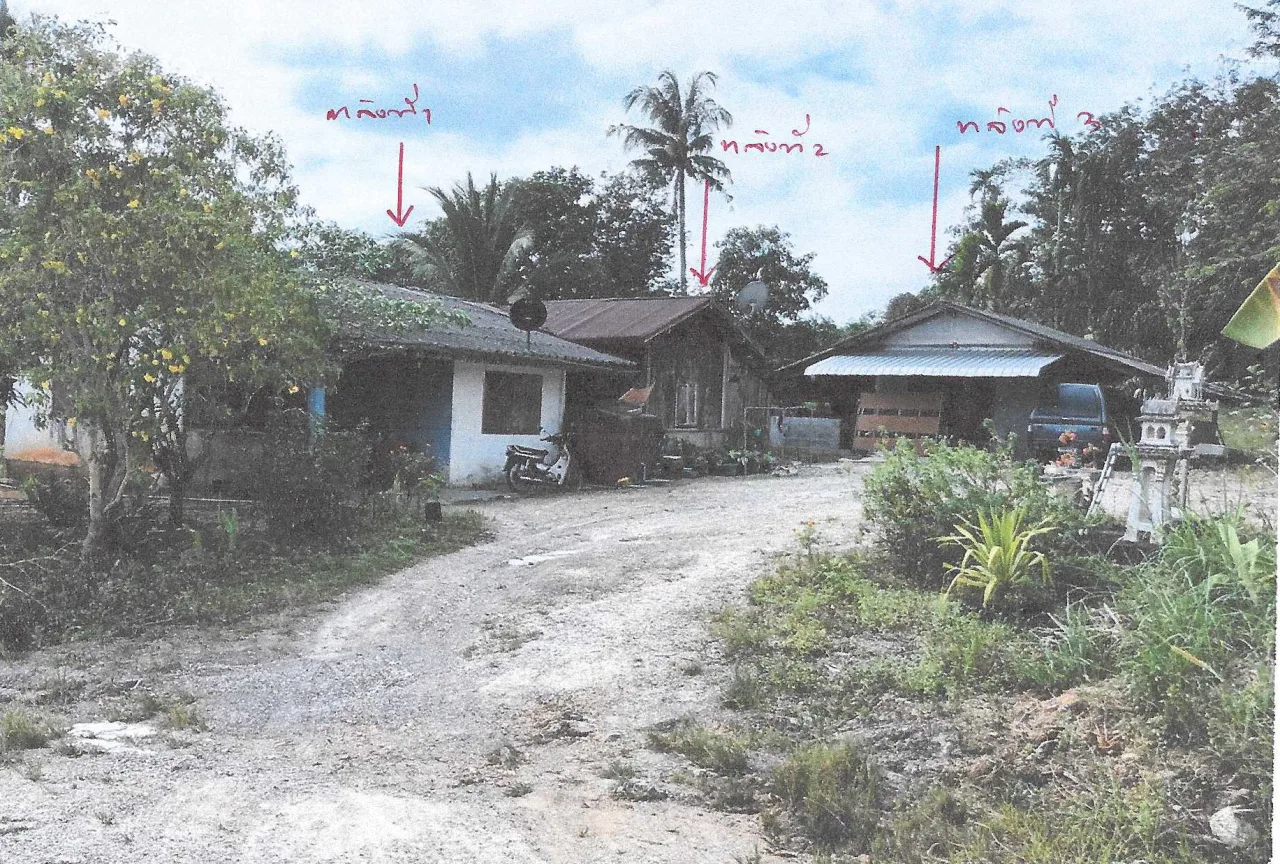 ขายทอดตลาด ที่ดินพร้อมสิ่งปลูกสร้าง ต.เขาเขน อ.ปลายพระยา จ.กระบี่
