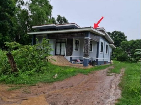 ขายทอดตลาด ที่ดินพร้อมสิ่งปลูกสร้าง ต.ผักปัง อ.ภูเขียว จ.ชัยภูมิ