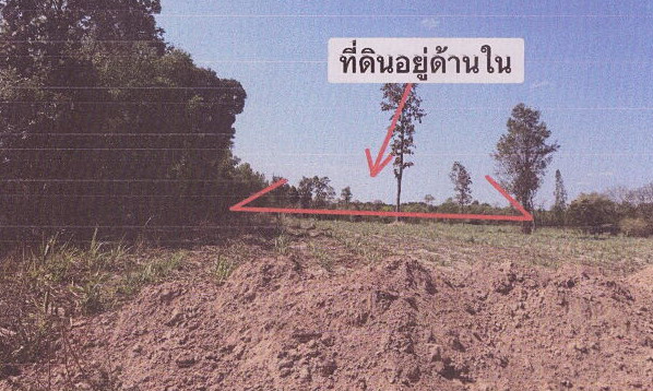 ขายทอดตลาด ที่ดินว่างเปล่า ต.เหล่าหมี อ.ดอนตาล จ.มุกดาหาร