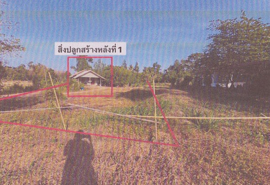 ขายทอดตลาด ที่ดินพร้อมสิ่งปลูกสร้าง ต.หนองแคน อ.ดงหลวง จ.มุกดาหาร