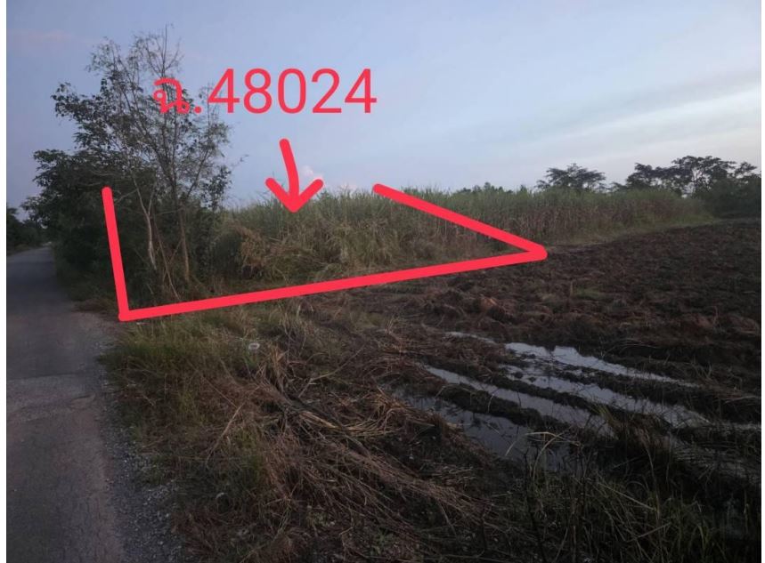 ขายทอดตลาด ที่ดินว่างเปล่า ต.หนองขาม อ.แก้งคร้อ จ.ชัยภูมิ
