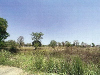 ขายทอดตลาด ที่ดินว่างเปล่า ต.ช่องสามหมอ อ.แก้งคร้อ จ.ชัยภูมิ