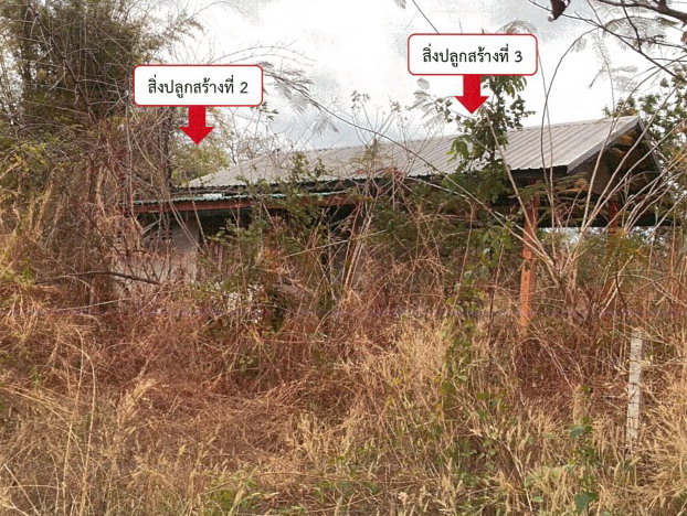ขายทอดตลาด ที่ดินพร้อมสิ่งปลูกสร้าง ต.สามสวน อ.บ้านแท่น จ.ชัยภูมิ