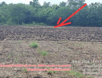 ขายทอดตลาด ที่ดินว่างเปล่า ต.ดงกลาง อ.คอนสาร จ.ชัยภูมิ