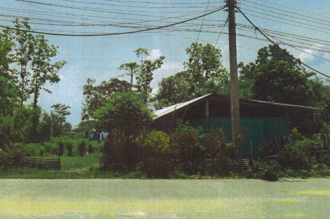 ขายทอดตลาด ที่ดินพร้อมสิ่งปลูกสร้าง ต.เมืองพาน อ.พาน จ.เชียงราย