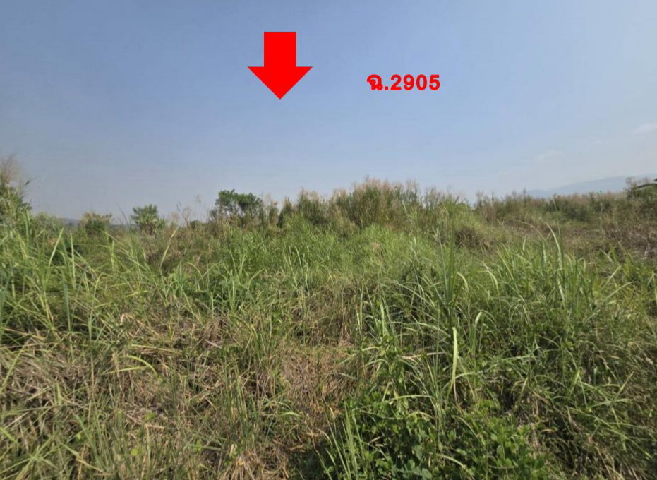ขายทอดตลาด ที่ดินว่างเปล่า ต.แม่ยวม อ.แม่สะเรียง จ.แม่ฮ่องสอน