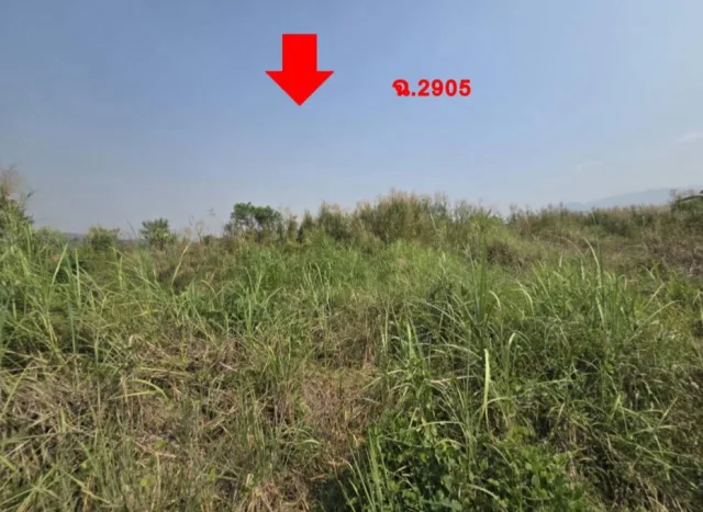 ขายทอดตลาด ที่ดินว่างเปล่า ต.แม่ยวม อ.แม่สะเรียง จ.แม่ฮ่องสอน