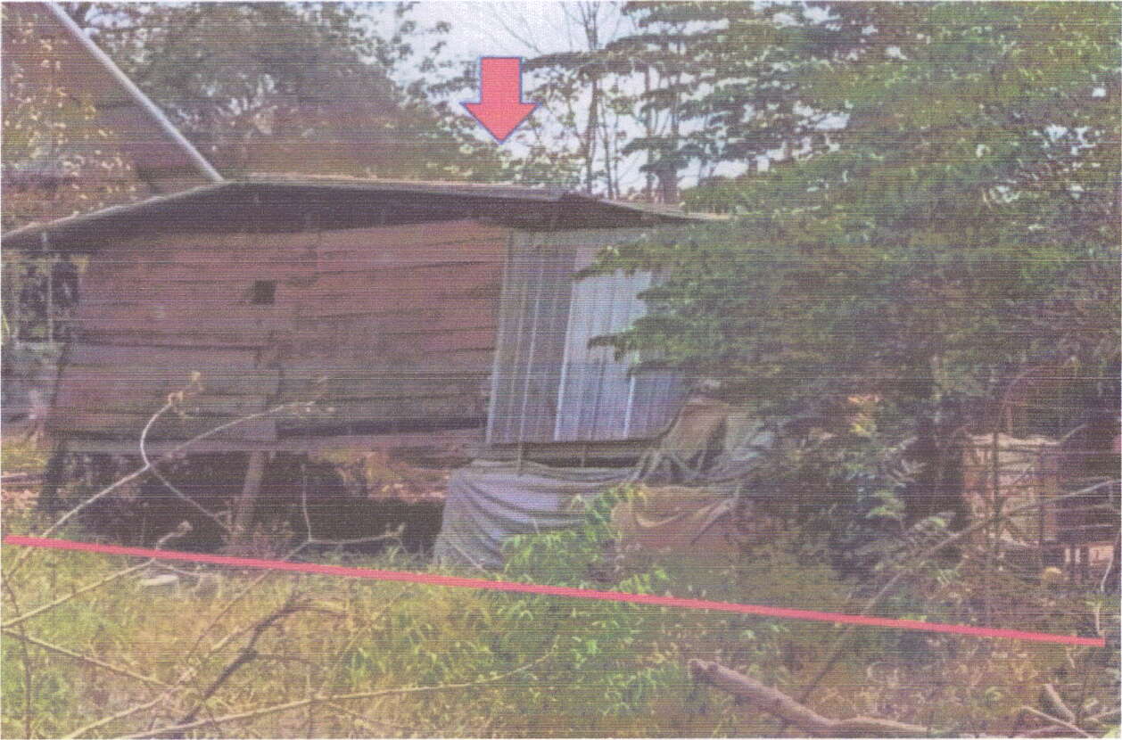 ขายทอดตลาด ที่ดินพร้อมสิ่งปลูกสร้าง ต.โคกสะอาด อ.หนองบัวระเหว จ.ชัยภูมิ