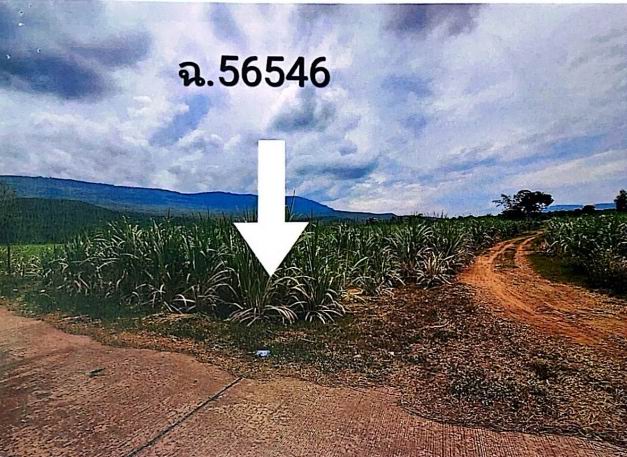 ขายทอดตลาด ที่ดินว่างเปล่า ต.บ้านบัว อ.เกษตรสมบูรณ์ จ.ชัยภูมิ
