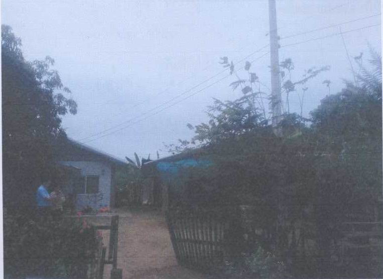 ขายทอดตลาด ที่ดินพร้อมสิ่งปลูกสร้าง ต.ธาตุทอง อ.ภูเขียว จ.ชัยภูมิ
