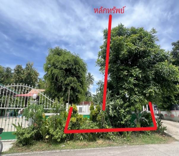 ขายทอดตลาด ที่ดินว่างเปล่า ต.ดงบัง อ.คอนสาร จ.ชัยภูมิ