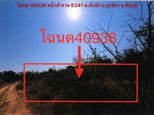 ขายทอดตลาด ที่ดินว่างเปล่า ต.ผักปัง อ.ภูเขียว จ.ชัยภูมิ