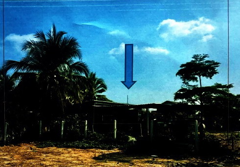 ขายทอดตลาด ที่ดินพร้อมสิ่งปลูกสร้าง ต.กวางโจน อ.ภูเขียว จ.ชัยภูมิ