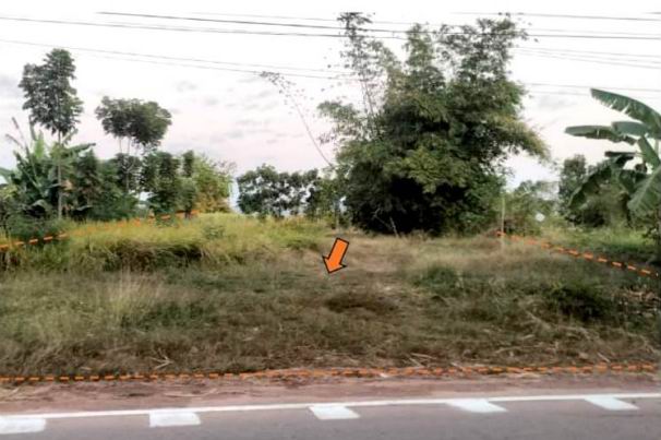 ขายทอดตลาด ที่ดินว่างเปล่า ต.หลุบคา อ.แก้งคร้อ จ.ชัยภูมิ