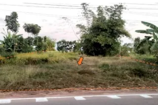 รูปทรัพย์ 1