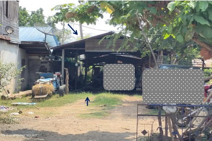 ขายทอดตลาด ที่ดินพร้อมสิ่งปลูกสร้าง ต.บ้านดอน อ.ภูเขียว จ.ชัยภูมิ