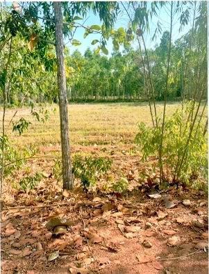 ขายทอดตลาด ที่ดินว่างเปล่า ต.บ้านนา อ.กบินทร์บุรี จ.ปราจีนบุรี
