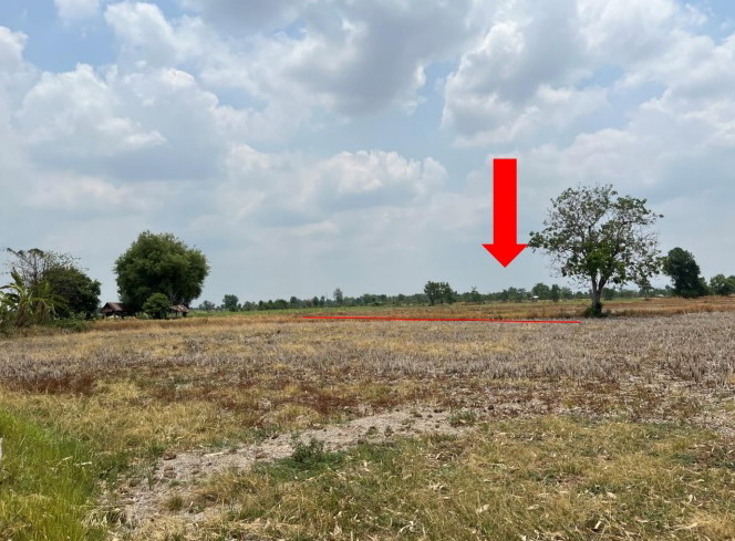 ขายทอดตลาด ที่ดินว่างเปล่า จ.ยโสธร