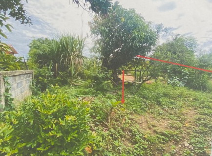 ขายทอดตลาด ที่ดินว่างเปล่า ต.นาหนองทุ่ม อ.แก้งคร้อ จ.ชัยภูมิ