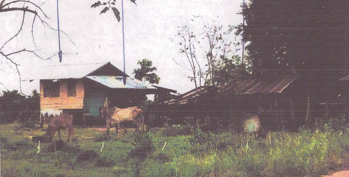 ขายทอดตลาด ที่ดินพร้อมสิ่งปลูกสร้าง ต.หนองโดน อ.จัตุรัส จ.ชัยภูมิ