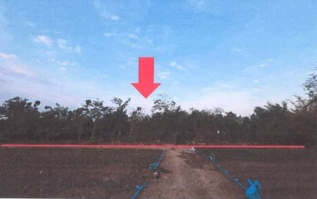 ขายทอดตลาด ที่ดินว่างเปล่า ต.บ้านแก้ง อ.ภูเขียว จ.ชัยภูมิ