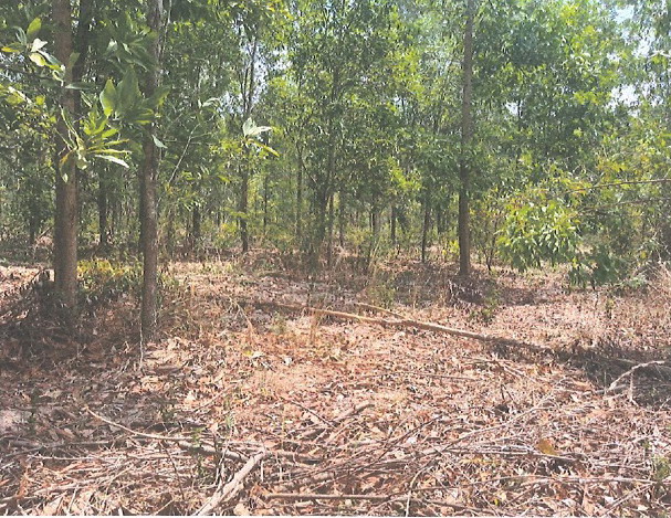 ขายทอดตลาด ที่ดินว่างเปล่า ต.บ้านนา อ.กบินทร์บุรี จ.ปราจีนบุรี