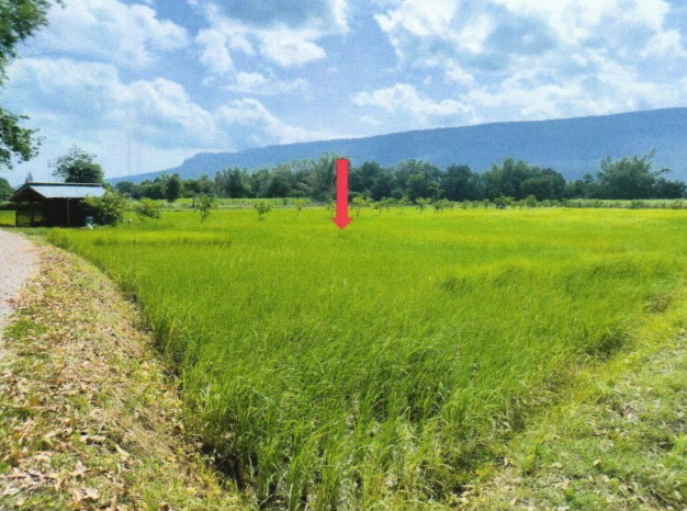 ขายทอดตลาด ที่ดินว่างเปล่า จ.ร้อยเอ็ด