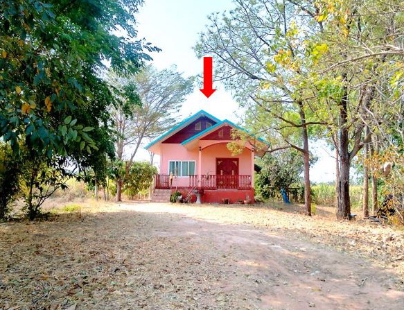 ขายทอดตลาด ที่ดินพร้อมสิ่งปลูกสร้าง ต.หนองสังข์ อ.แก้งคร้อ จ.ชัยภูมิ