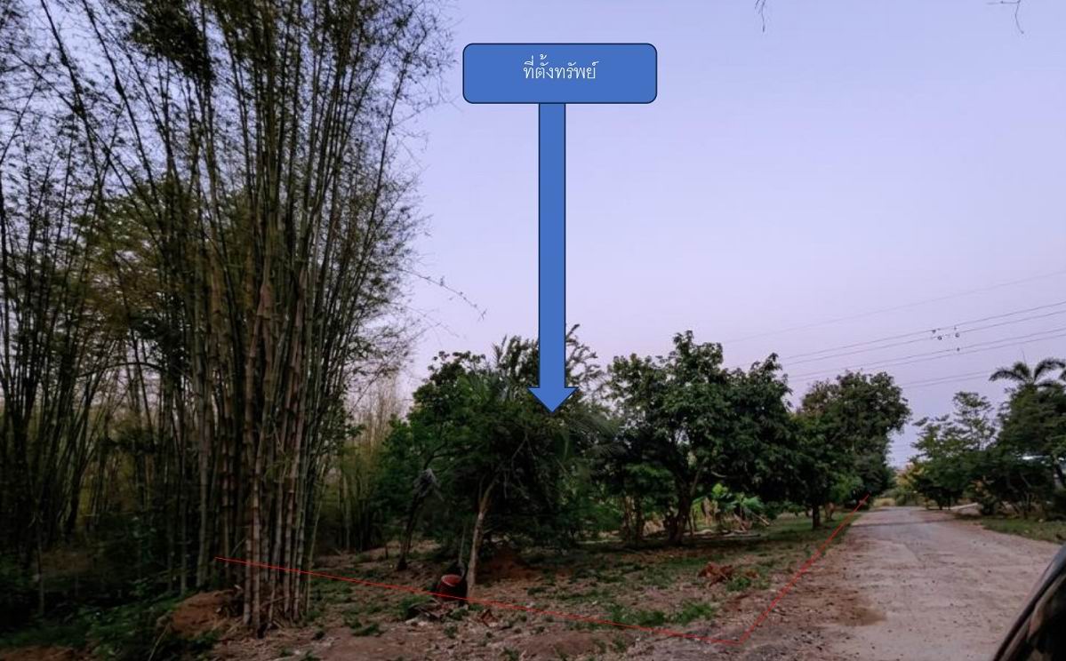 ขายทอดตลาด ที่ดินว่างเปล่า จ.ปราจีนบุรี