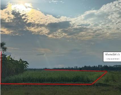 ขายทอดตลาด ที่ดินว่างเปล่า ต.หนองตูม อ.ภูเขียว จ.ชัยภูมิ